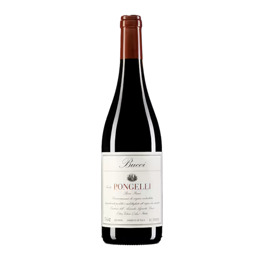 Rosso Piceno 'Pongelli' - Villa Bucci - Red - 2020